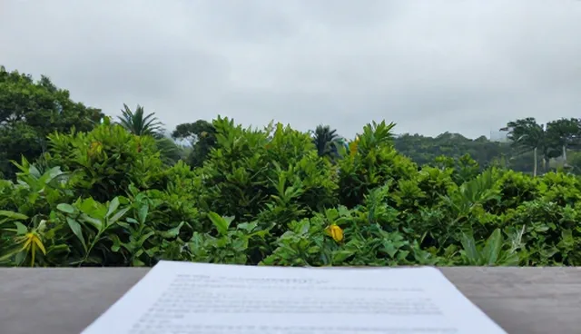 企业规模扩大时如何选择适合的技术培训方案